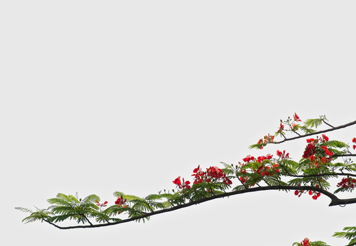 Garden by the Bay, SG